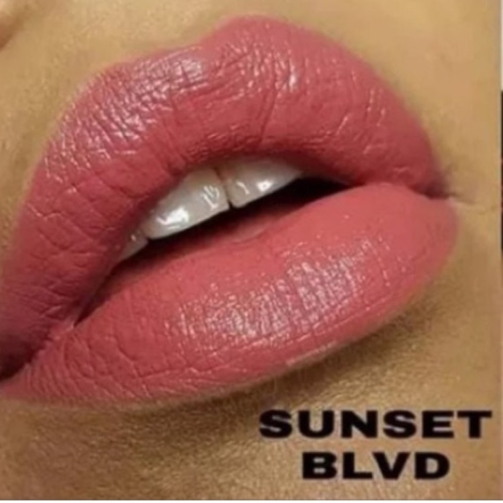 FOLLY FIRE Matte Lipstick In Sunset Blvd(Peachy Pink Nude)